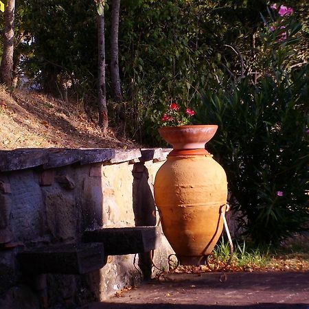 Tenuta Macetona Celle sul Rigo Екстериор снимка